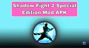 shadow fight